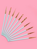 P.Louise Detail in the Deal 10pc Brush Set